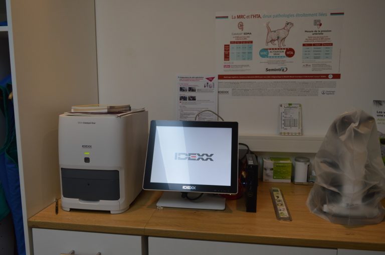 veto aubes 4 1 768x510