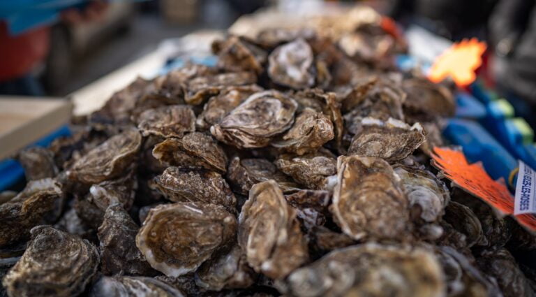 huitres veules1 768x425